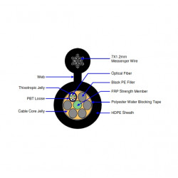 Fig8